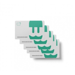 Wallbox - Paquet de 10 cartes RFID